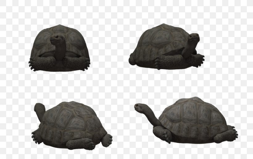 Reptile Tortoise Rendering Turtle Poser, PNG, 1024x645px, 3d Computer Graphics, 3d Modeling, Reptile, Deviantart, Gila Monster Download Free