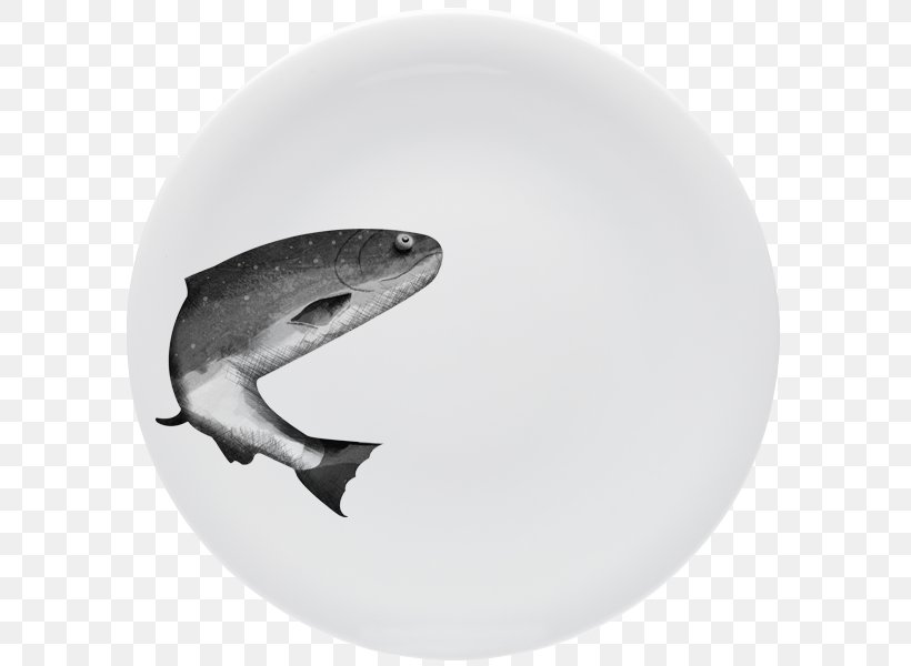 Shark Fauna Tableware, PNG, 595x600px, Shark, Cartilaginous Fish, Fauna, Fish, Tableware Download Free