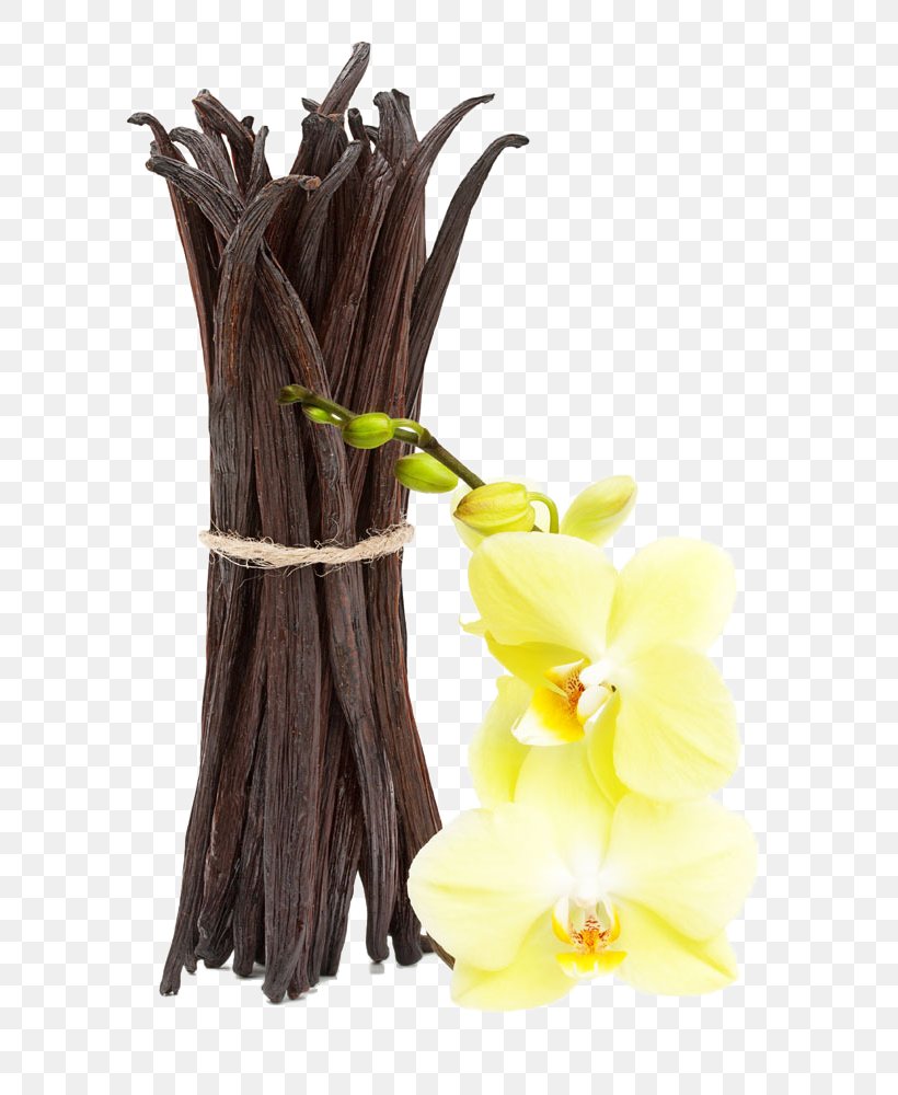 Vanilla Extract Essential Oil Stock Photography Perfume, PNG, 805x1000px, Vanilla, Almond Oil, Clove, Essential Oil, Extract Download Free