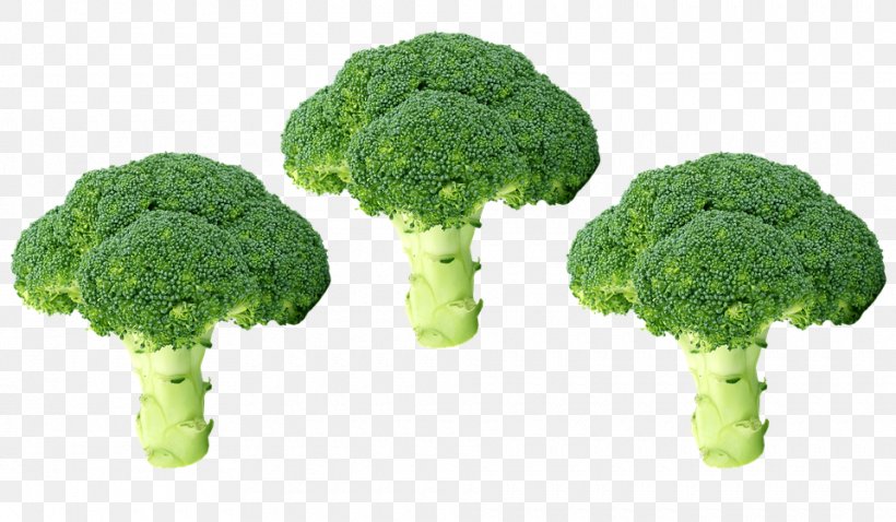 Vegetable Broccoli Clip Art Food, PNG, 960x560px, Vegetable, Bean, Broccoli, Cabbage, Carrot Download Free
