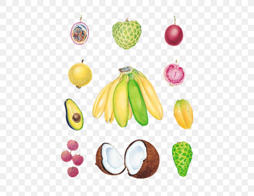 Avocado Tropical Fruit Lychee Banana, PNG, 509x634px, Avocado, Banana, Coconut, Diet Food, Food Download Free