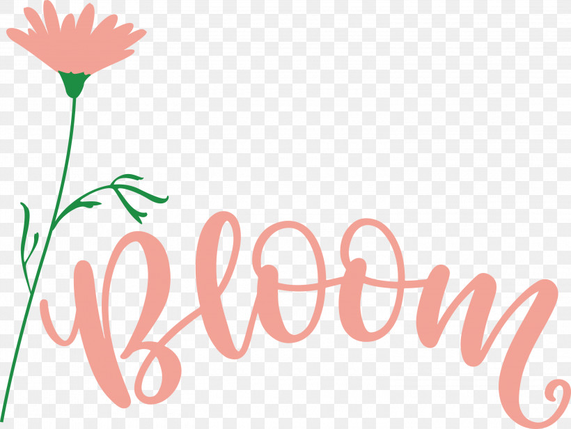 Bloom Spring Flower, PNG, 3000x2257px, Bloom, Decal, Flower, Kitchen, Logo Download Free