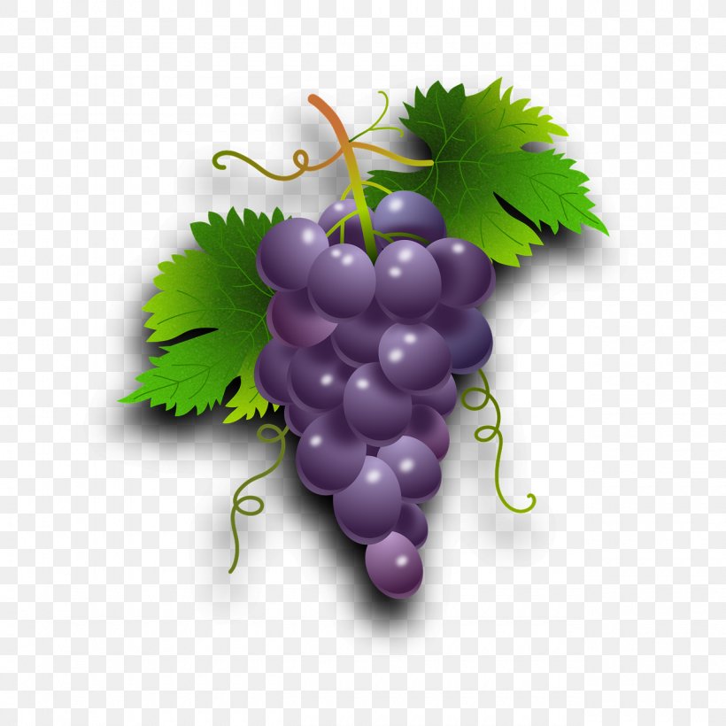 Common Grape Vine Wine Seedless Fruit, PNG, 1280x1280px, Grape, Common Grape Vine, Flowering Plant, Food, Fruit Download Free