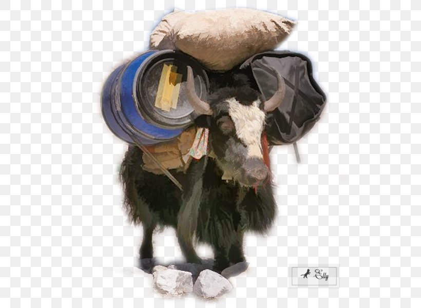 Domestic Yak Cattle Wild Yak Tibetan Cuisine Animal, PNG, 545x600px, Domestic Yak, Animal, Cattle, Cattle Like Mammal, Culture Download Free
