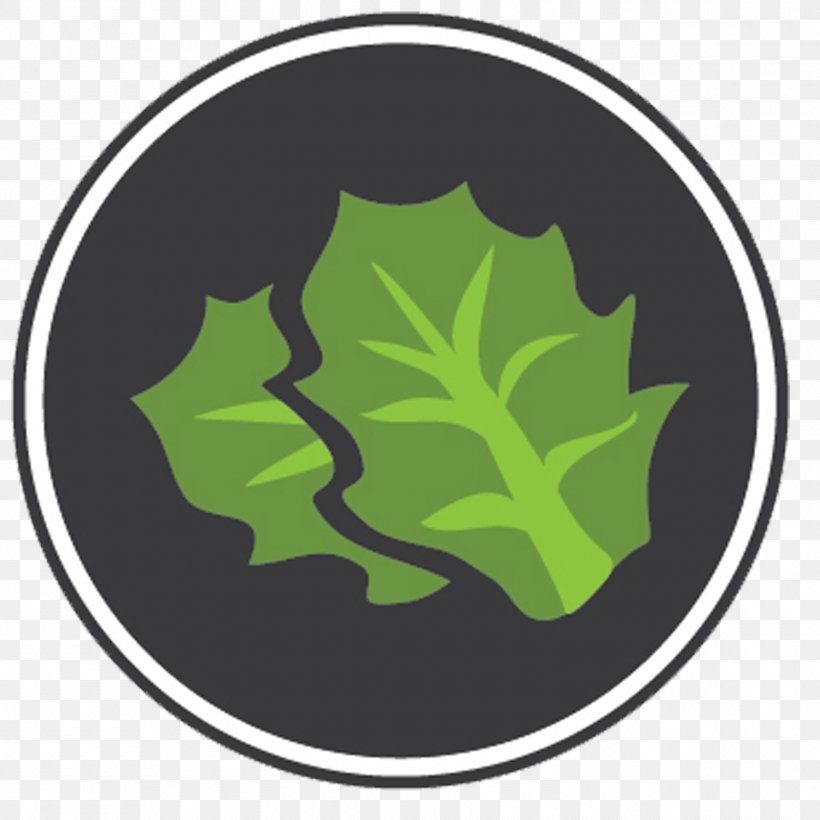 Lettuce Food Management Leaf, PNG, 1500x1500px, Lettuce, Food, Grass, Green, Leaf Download Free