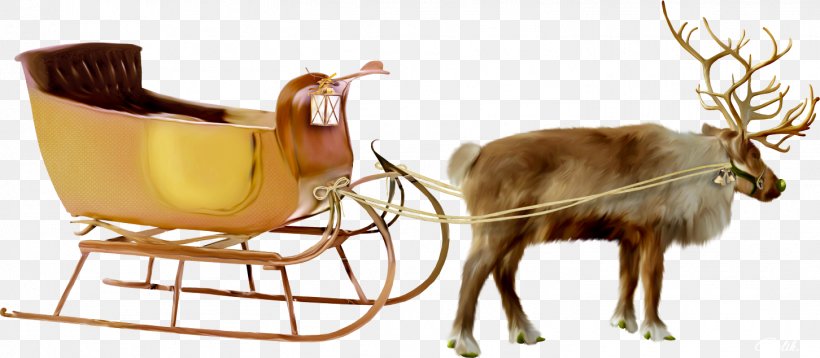 Santa Claus Mrs. Claus Reindeer Sled, PNG, 1452x634px, Santa Claus, Chair, Christmas Day, Ded Moroz, Fawn Download Free