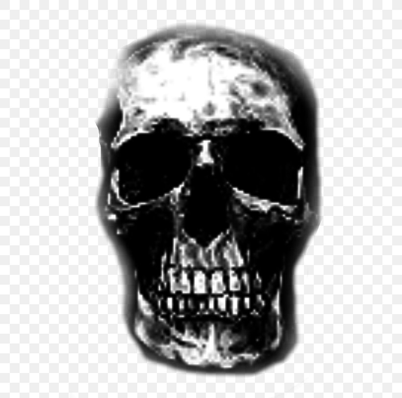 Skull Jaw, PNG, 720x811px, Skull, Black And White, Bone, Head, Jaw Download Free
