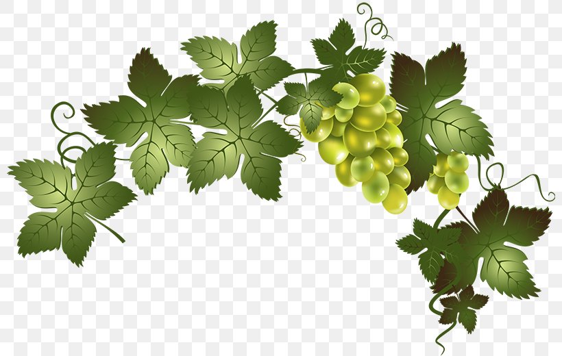 Wine Common Grape Vine Barrel Oak, PNG, 800x520px, Wine, American Wine, Barrel, Beer, Beer Tap Download Free