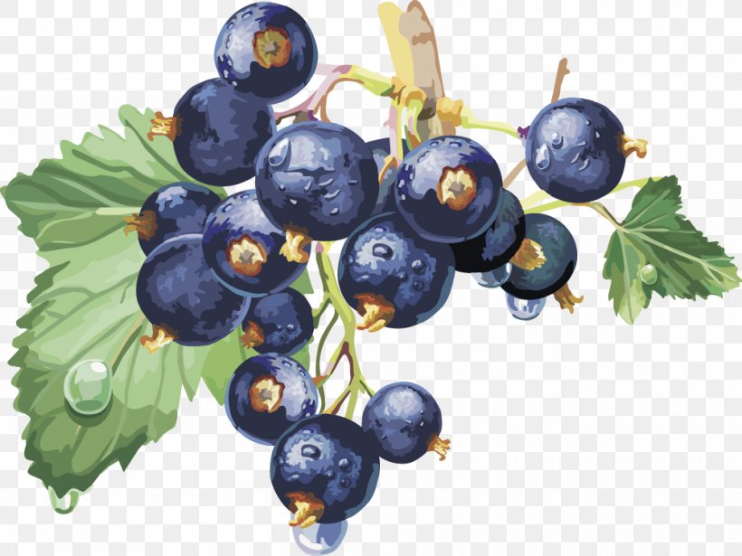 Blackcurrant Frutti Di Bosco Redcurrant Varenye Macaron, PNG, 1000x751px, Juice, Berry, Bilberry, Blackcurrant, Blueberry Download Free