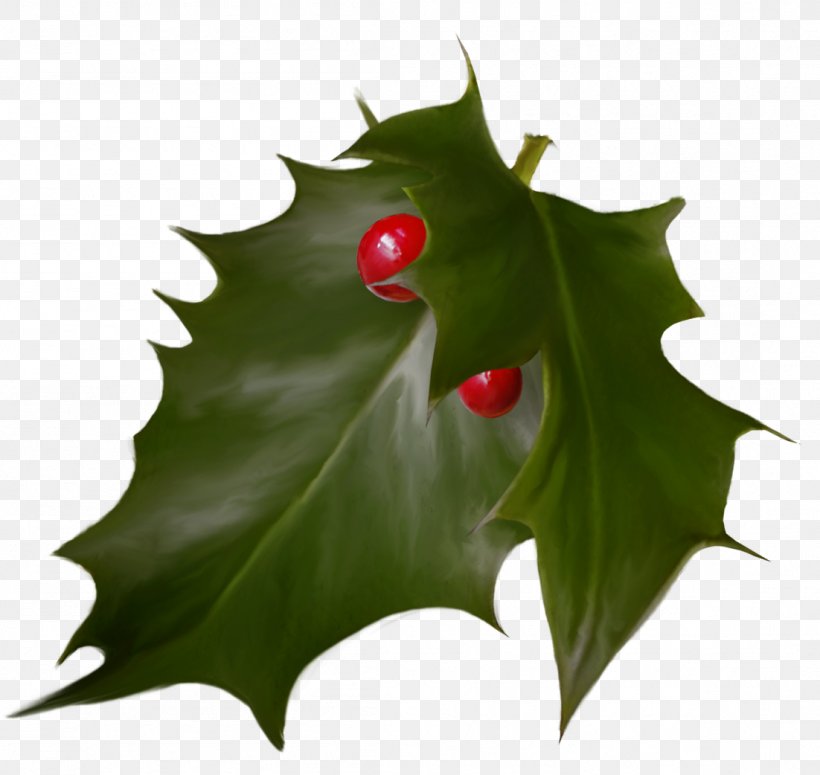Holly Christmas Advent Wreath Holiday, PNG, 1102x1042px, Holly, Advent Wreath, Aquifoliaceae, Aquifoliales, Christmas Download Free