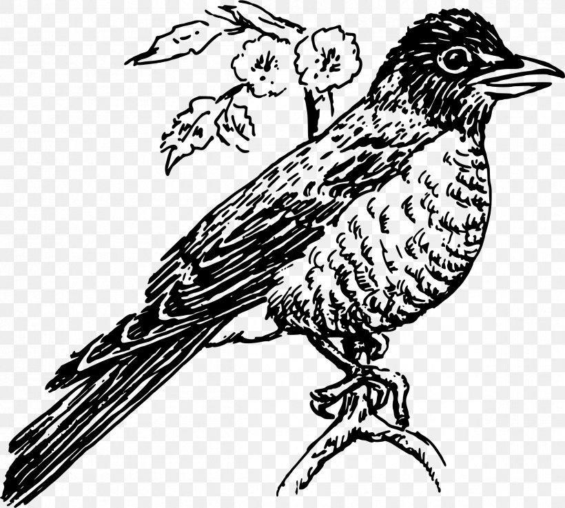 Line Art Drawing Clip Art, PNG, 2399x2158px, Line Art, American Robin, Art, Artwork, Beak Download Free