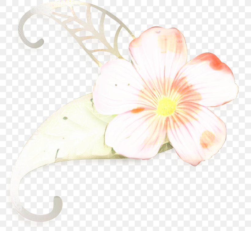 Moth Orchids Cut Flowers Floral Design, PNG, 799x754px, Moth Orchids, Blossom, Cut Flowers, Floral Design, Flower Download Free