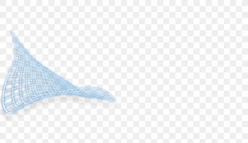 Product Design Shoe Line, PNG, 1040x600px, Shoe, Blue, Marine Mammal, Wing Download Free