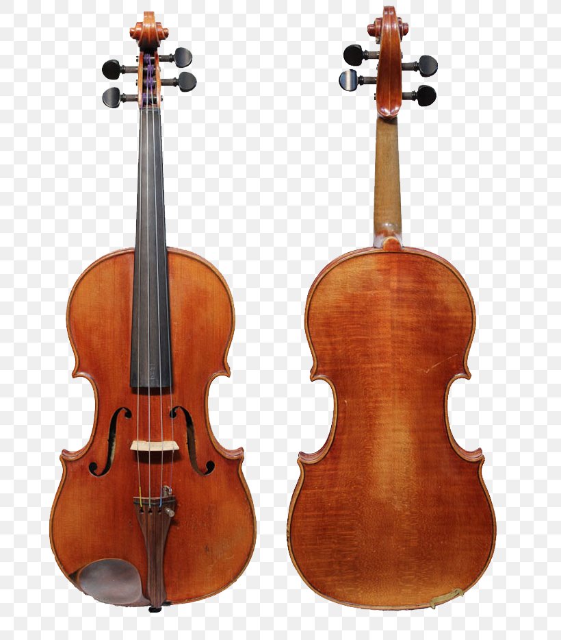 Violin Family String Instruments Stradivarius Cello, PNG, 720x934px, Violin, Acoustic Electric Guitar, Antonio Stradivari, Bass Violin, Bowed String Instrument Download Free