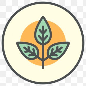 Organic Food PNG