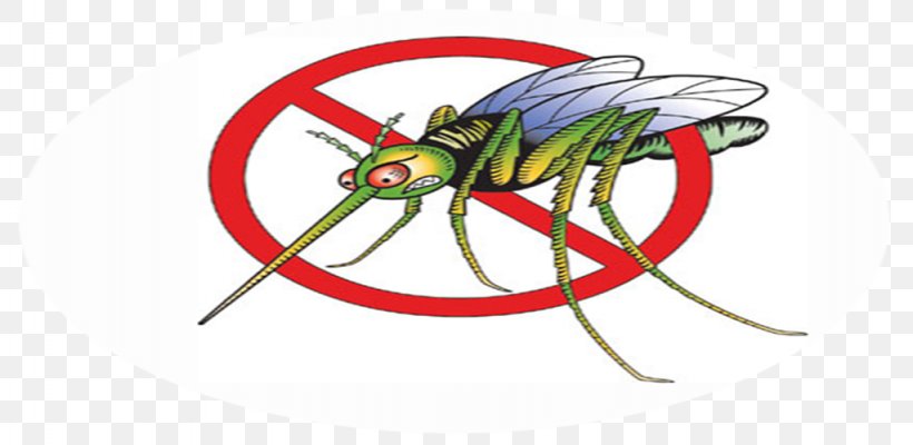 Dengue Preventive Healthcare Fly Household Insect Repellents, PNG, 1024x500px, Dengue, Art, Business, Epidemiology, Fly Download Free