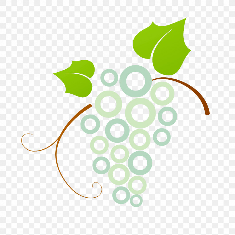 Leaf Grape Grapevine Family Plant Line, PNG, 1526x1533px, Leaf, Fruit, Grape, Grapevine Family, Line Download Free