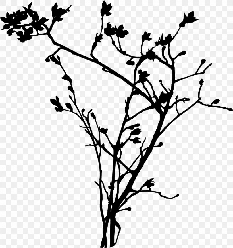 Twig Branch Leaf Plant Stem Tree, PNG, 1433x1521px, Twig, Bay Laurel, Blackandwhite, Botany, Branch Download Free