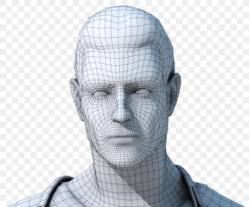 Website Wireframe Face Facial Recognition System Wire-frame Model, PNG, 1320x1095px, Website Wireframe, Computer Software, Face, Facial Recognition System, Forehead Download Free