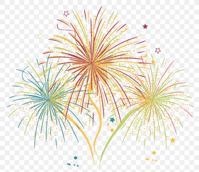 Adobe Fireworks Villammare, PNG, 784x709px, Fireworks, Adobe Fireworks, Event, Flower, Public Event Download Free