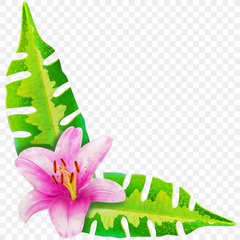 Lily Image Flower Green, PNG, 1024x1024px, Lily, Animation, Art, Flora, Flower Download Free