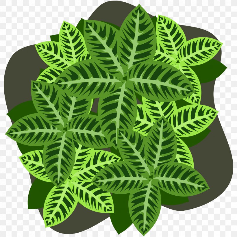 Plant Leaf, PNG, 2400x2400px, Plant, Grass, Green, Leaf Download Free