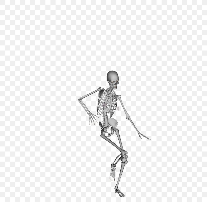Skeleton Tap Dance Bone Dance Move, PNG, 600x800px, Skeleton, Arm, Art, Black And White, Bone Download Free