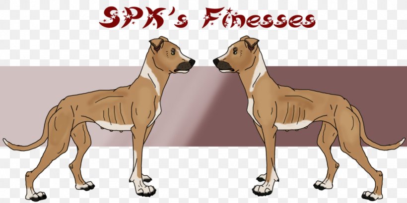 Spanish Greyhound Dog Breed Whippet Italian Greyhound, PNG, 1024x512px, Greyhound, Azawakh, Big Cats, Breed, Carnivoran Download Free