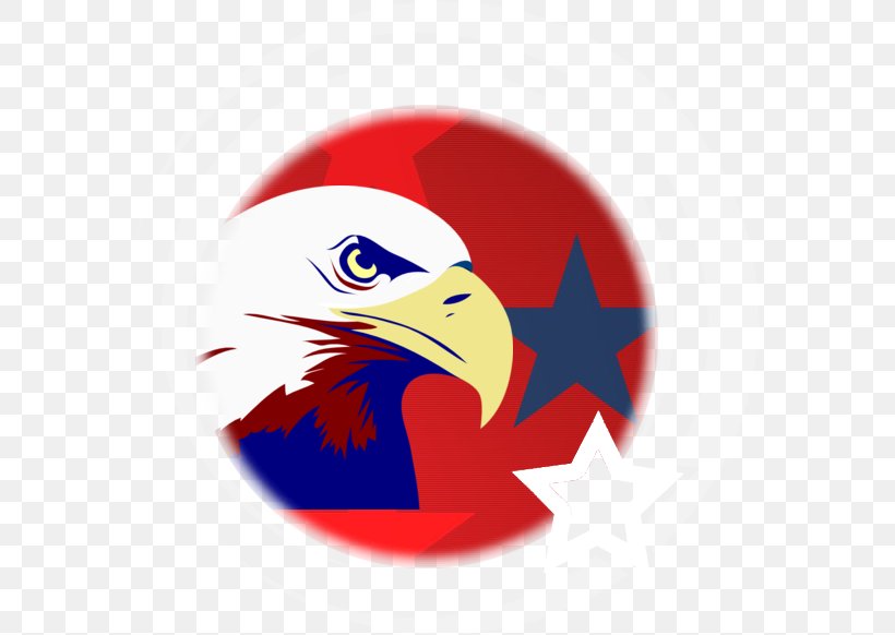 Bald Eagle Logo Beak Blue, PNG, 575x582px, Eagle, American Eagle Outfitters, Bald Eagle, Beak, Bird Download Free