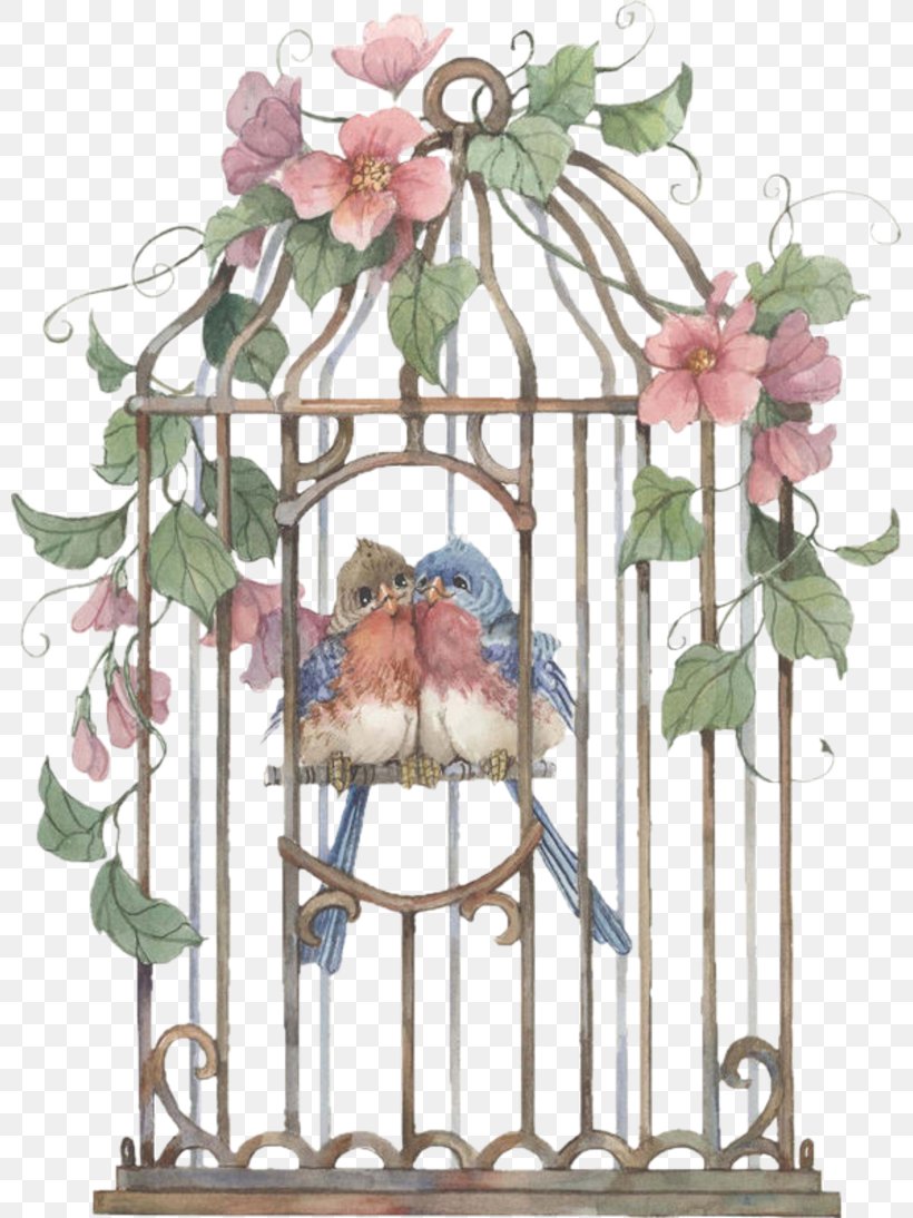 Birdcage Birdcage, PNG, 800x1094px, Bird, Birdcage, Cage, Deviantart, Drawing Download Free