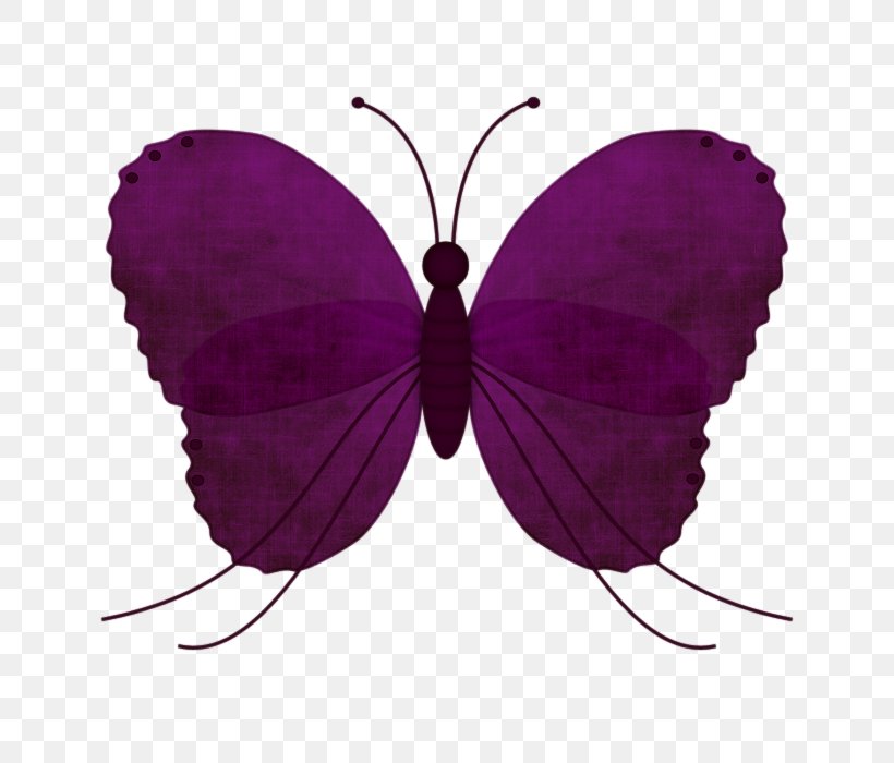 Butterfly Clip Art, PNG, 700x700px, Butterfly, Arthropod, Askartelu, Brush Footed Butterfly, Drawing Download Free
