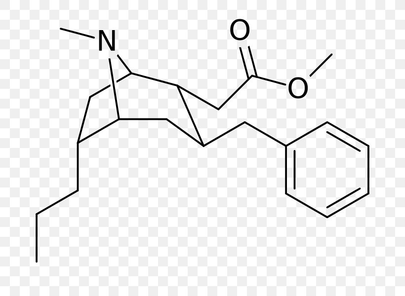 Catechol Catechin Acid Ester Phenols, PNG, 720x600px, Catechol, Acid, Amine, Area, Auto Part Download Free