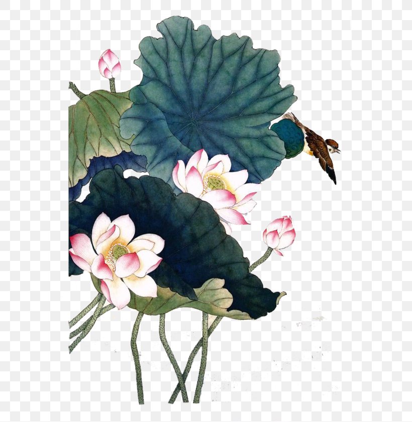 China Nelumbo Nucifera Flower Watercolor Painting, PNG, 580x841px, China, Art, Chinese, Chinese Painting, Digital Painting Download Free