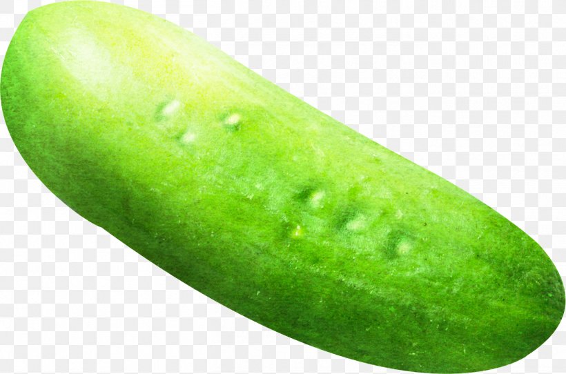 Cucumber Vegetable Fruit Melon, PNG, 1357x897px, Cucumber, Auglis, Berry, Cucumber Gourd And Melon Family, Cucumis Download Free