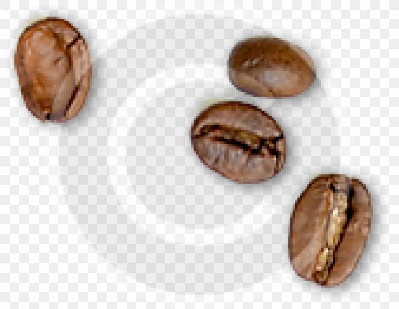 Cafe Iced Coffee Tea Coffee Roasting, PNG, 1170x906px, Cafe, Cake, Coffee, Coffee Bean, Coffee Culture Download Free