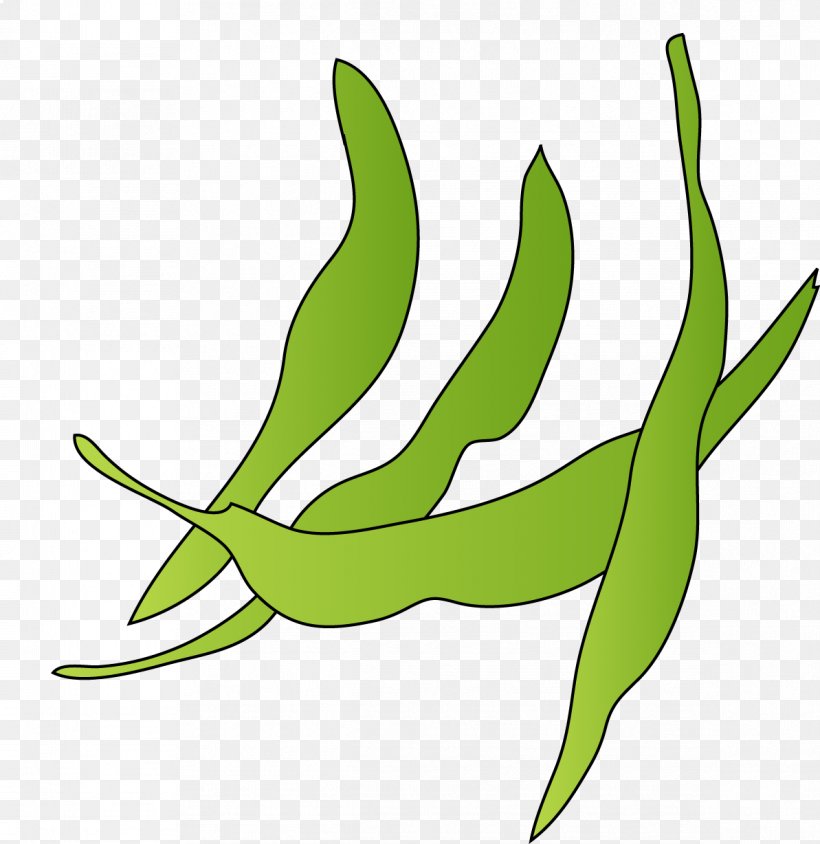 Leaf Vegetable Keyword Tool Horticulture Clip Art, PNG, 1193x1228px, Vegetable, Agriculture, Drawing, Flower, Flowering Plant Download Free