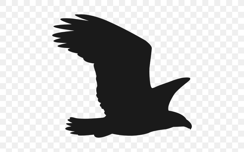 Silhouette Falcon, PNG, 512x512px, Silhouette, Beak, Bird, Bird Of Prey, Black And White Download Free