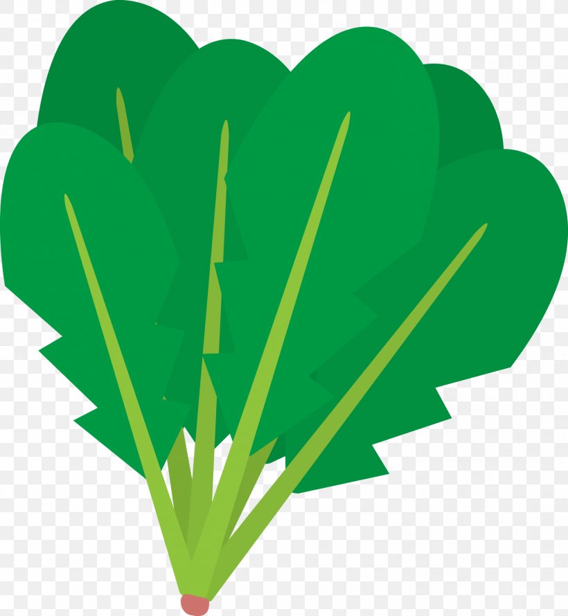 Silhouette Vegetable Spinach Food, PNG, 1474x1600px, Silhouette, Amaranth, Cucumber, Food, Grass Download Free