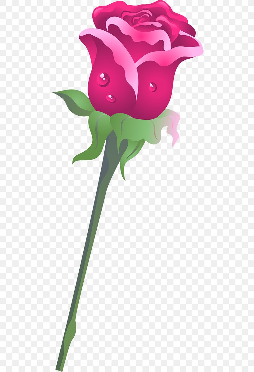 Garden Roses Beach Rose Clip Art, PNG, 495x1200px, 2018, Garden Roses, Advertising, Beach Rose, Fictional Character Download Free