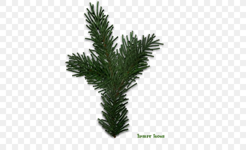 Spruce Fir Christmas Pine, PNG, 500x500px, Spruce, Advent, Branch, Christmas, Conifer Download Free