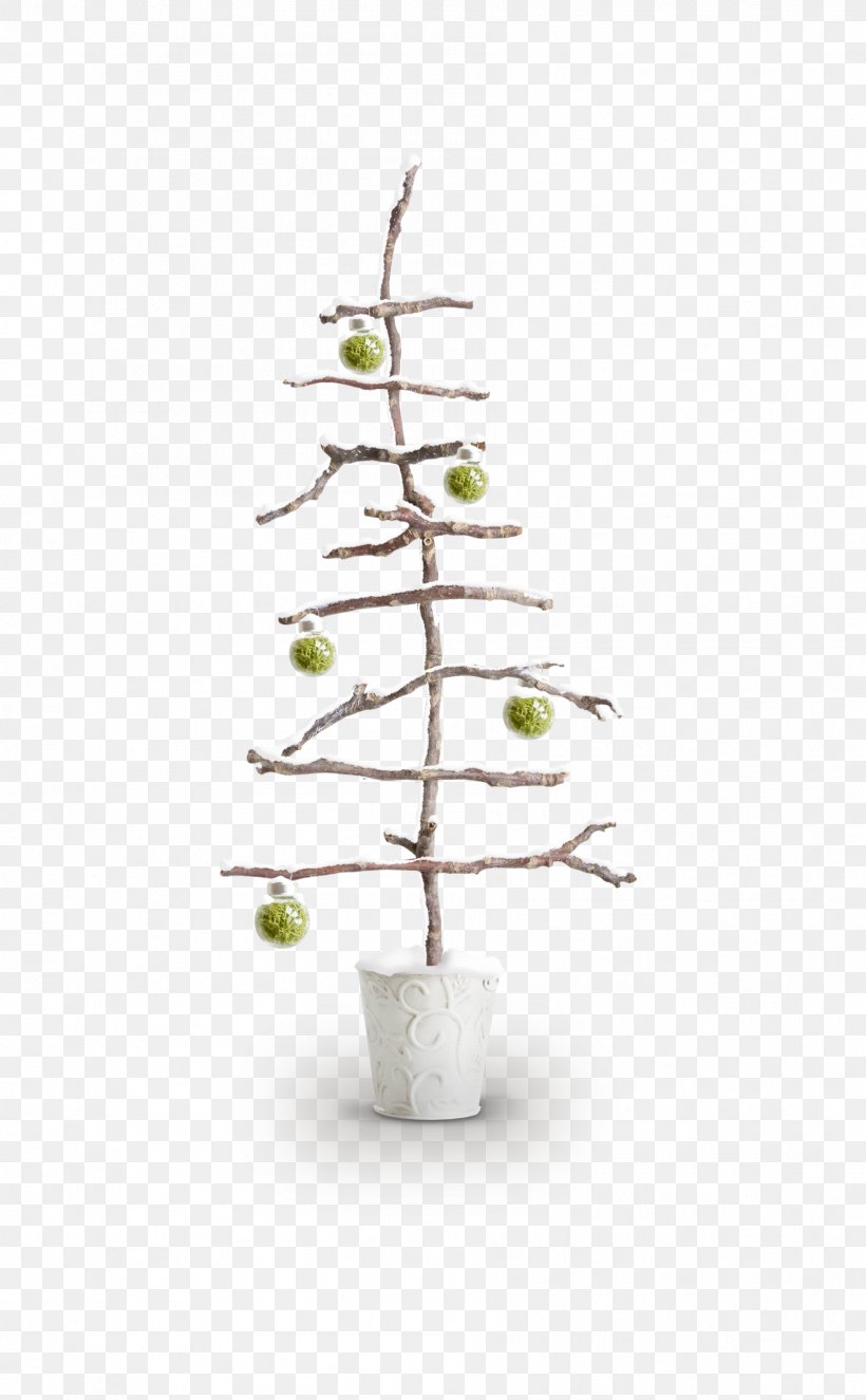 Twig Christmas Branch, PNG, 1787x2888px, Twig, Branch, Christmas, Christmas Tree, Flowerpot Download Free