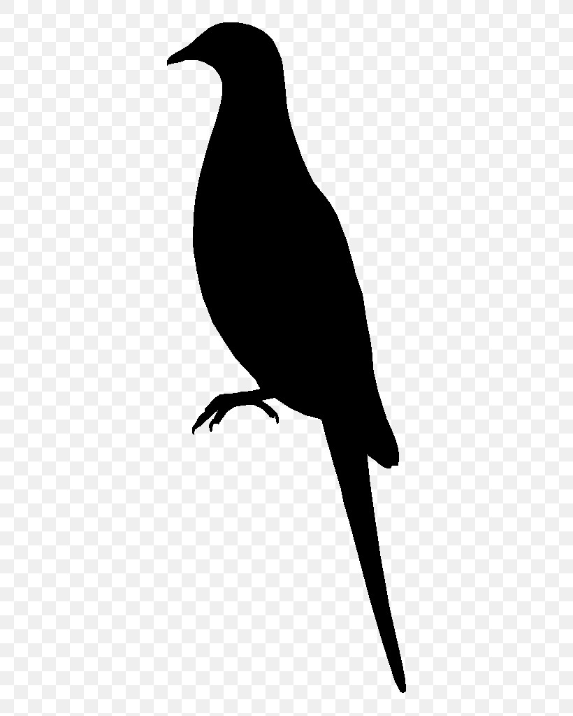 Bird Beak Silhouette Perching Bird Blackbird, PNG, 640x1024px, Bird, Beak, Blackbird, Crow, Perching Bird Download Free