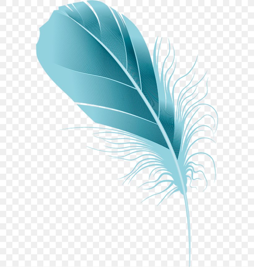 Blue Feather., PNG, 588x861px, Drawing, Digital Image, Feather, Leaf, Nib Download Free