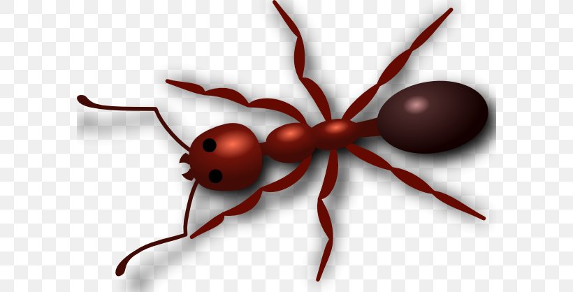 Red Imported Fire Ant Clip Art, PNG, 600x418px, Ant, Arthropod, Drawing, Fire Ant, Free Content Download Free