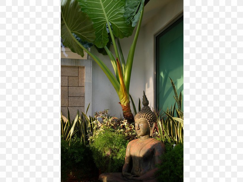 Arecaceae Flowerpot Houseplant Banana Leaf, PNG, 1000x750px, Arecaceae, Arecales, Banana, Banana Family, Flora Download Free