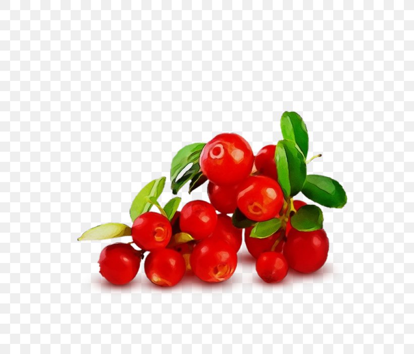 Fruit Berry Plant Lingonberry Food, PNG, 700x700px, Watercolor, Acerola, Arctostaphylos Uvaursi, Berry, Cherry Download Free