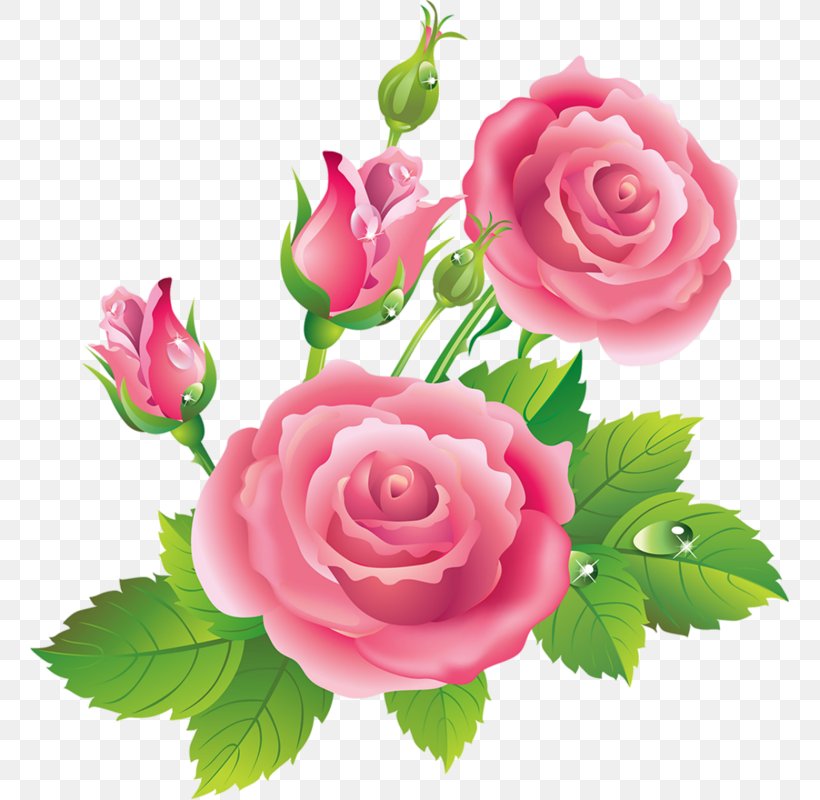 Garden Roses Centifolia Roses Blue Rose Clip Art, PNG, 759x800px, Garden Roses, Artificial Flower, Blue Rose, Centifolia Roses, Cut Flowers Download Free