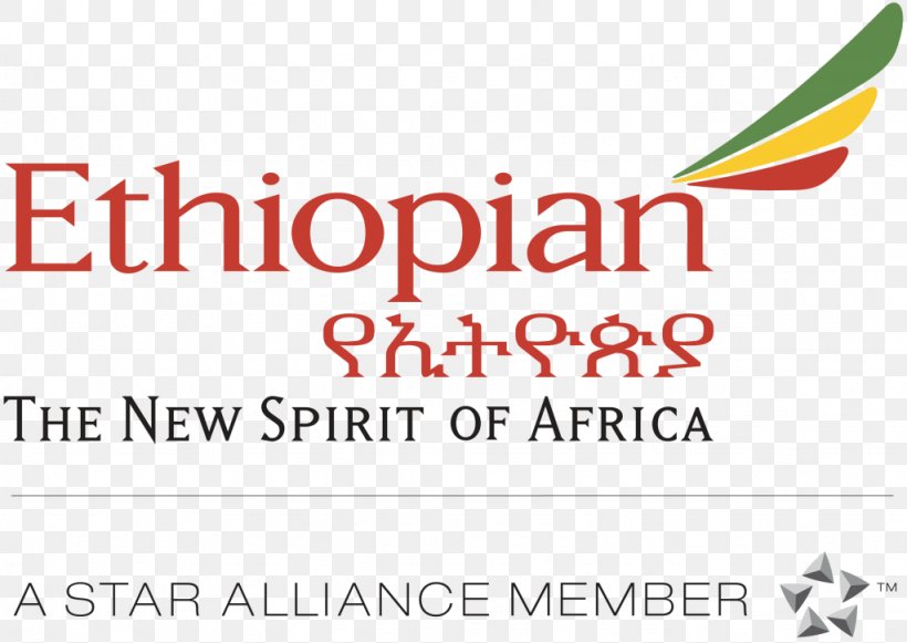 Logo Ethiopian Airlines Star Alliance, PNG, 1024x726px, Logo, Airline, Airline Alliance, Airline Ticket, Area Download Free