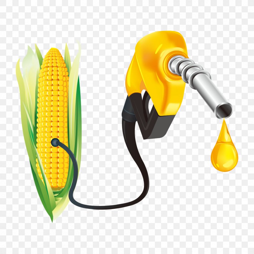 Algae Fuel Fossil Fuel Biofuel Biomass, PNG, 1000x1000px, Algae Fuel, Alternative Fuel, Biodiesel, Biofuel, Biomass Download Free