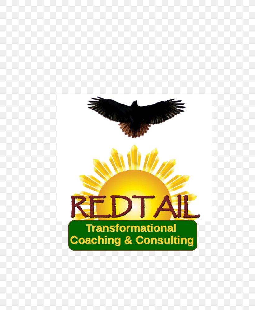 Eagle Logo Advertising Red-tailed Hawk Brand, PNG, 768x994px, Eagle, Advertising, Beak, Bird Of Prey, Brand Download Free